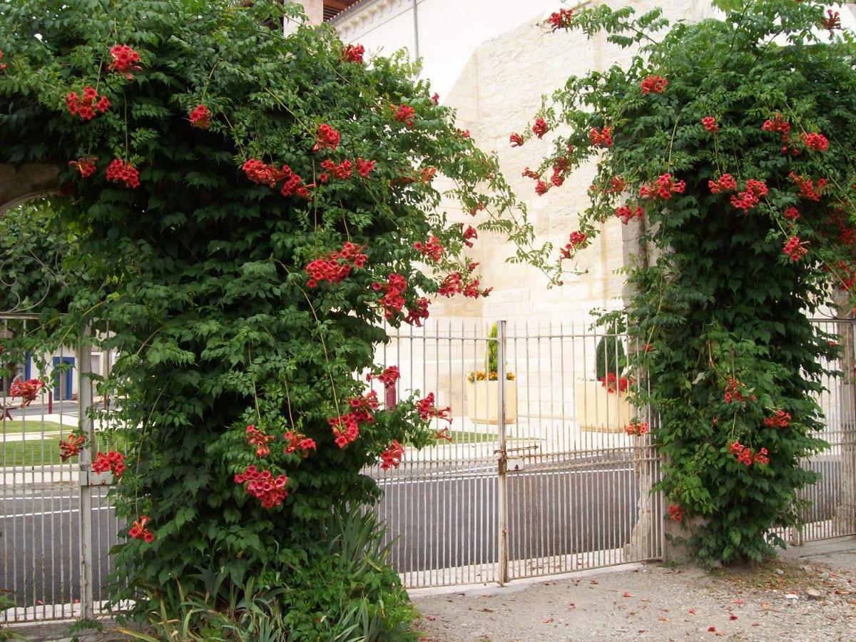 Chateau La Gentilhommiere Du Puits Notre-Dame 30 Rue De L'Eglise 24110 Saint Leon Sur L'Isle المظهر الخارجي الصورة
